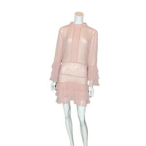 Endless Rose Sheer Dress
